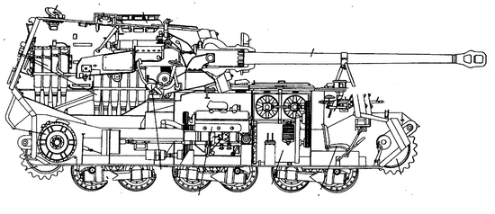Фердинанд в разрезе.