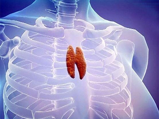 Фото взято для ознакомления из источника https://rainbow-f-b.blogspot.com/2016/03/timus.html?m=1