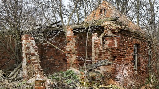 Мародеры среди развалин: фоторепортаж из разрушенных для реновации домов в Кемерове