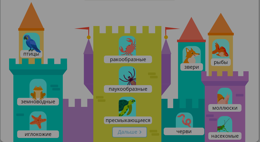 Царства животных.