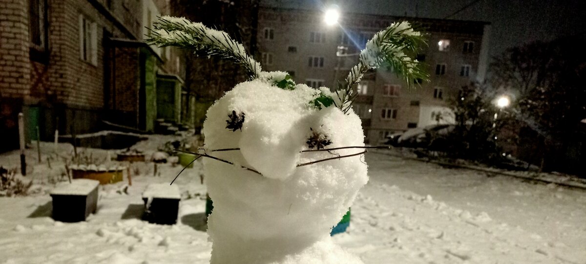 (Личное фото автора)