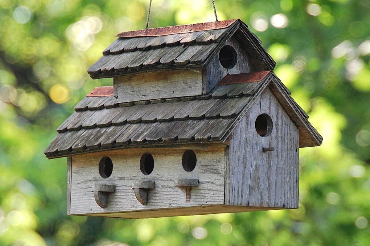 Скворечник своими руками: как сделать надежный и удобный дом для птиц (61 фото)
