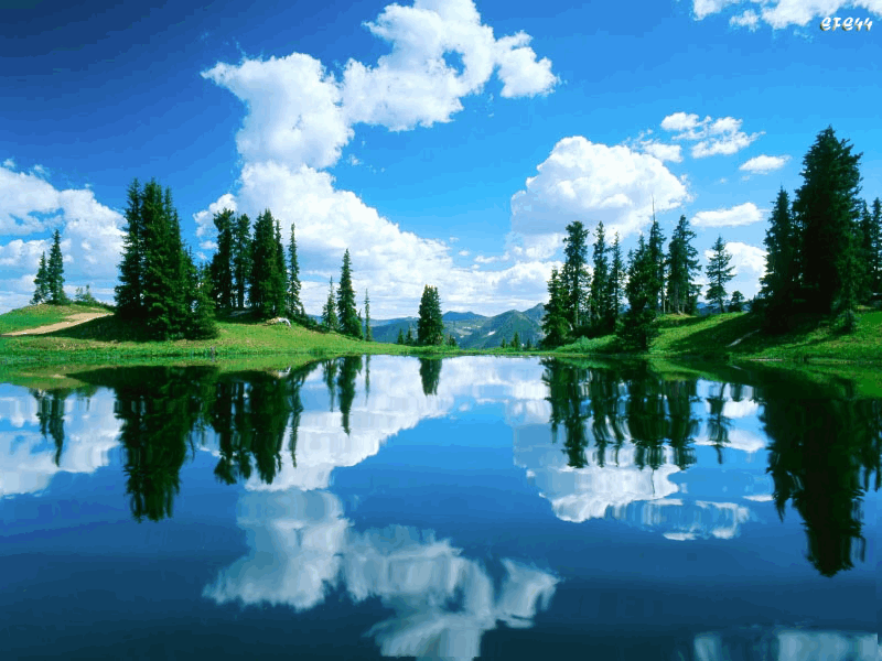 Картинка из интернета