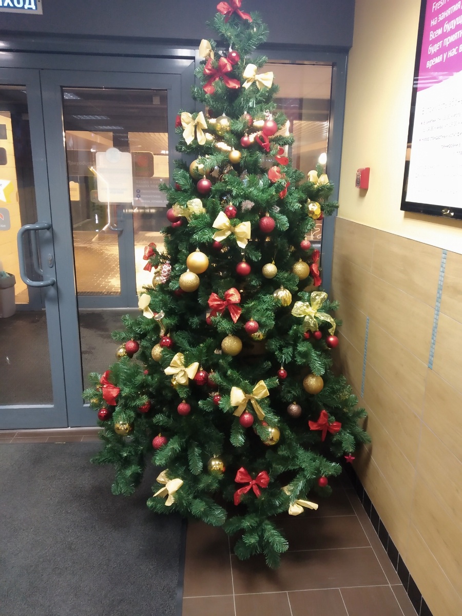 Ёлка в нашем фитнес-клубе