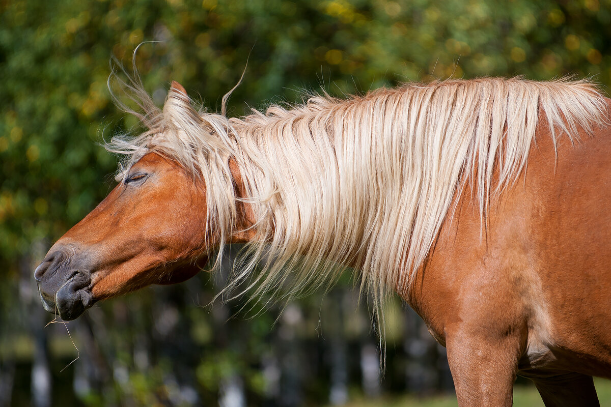 Осенний полёт эмоций!