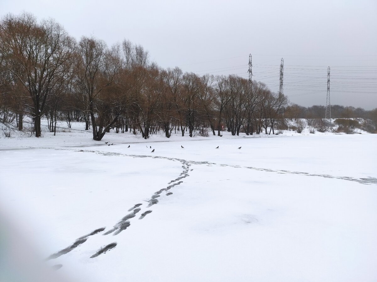 От берега до развилки - 4 лунки, вперед ещё три и лунка возле которой я стою восьмая. Обратите внимание, впереди непаханное поле.