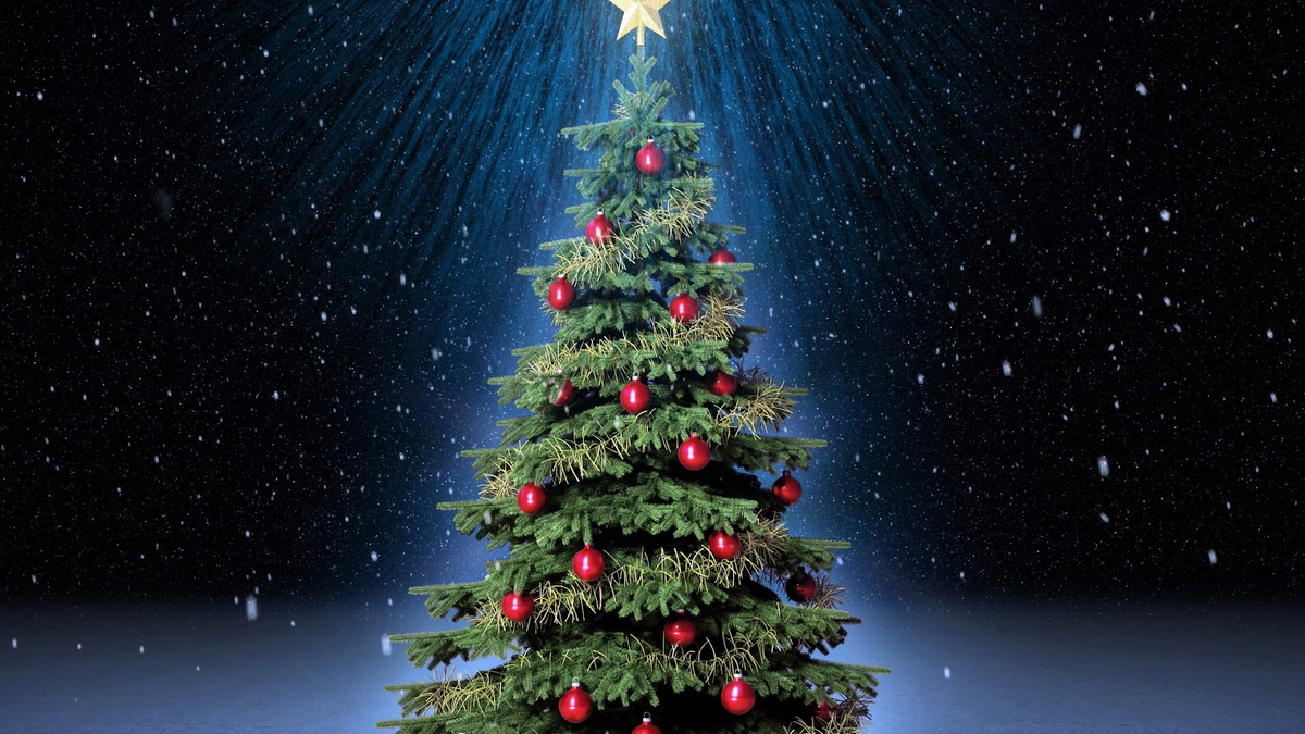 Источник: https://342031.selcdn.ru