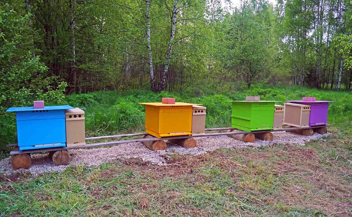 Пчелопакеты стоят возле ульев.