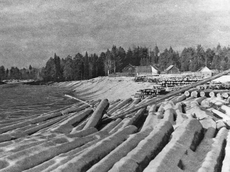 Вятский лес 19 век Лесосплав