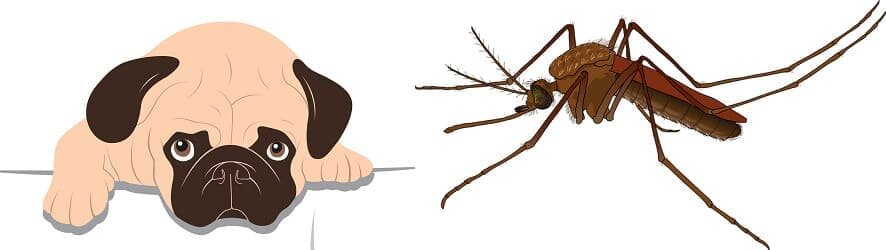 Фото из сети интернет. 