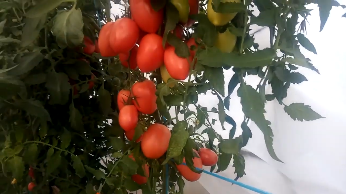 Фото из личного архива