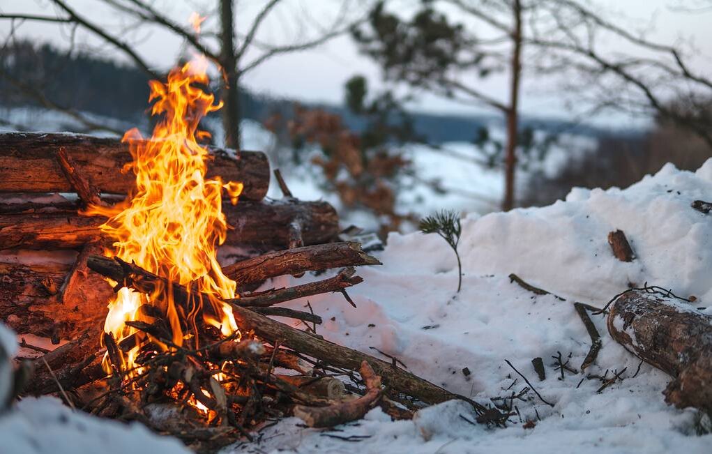 Фото: © Sergey Nemirovsky/Shutterstock/FOTODOM с сайта: https://tass.ru/obschestvo/10206161