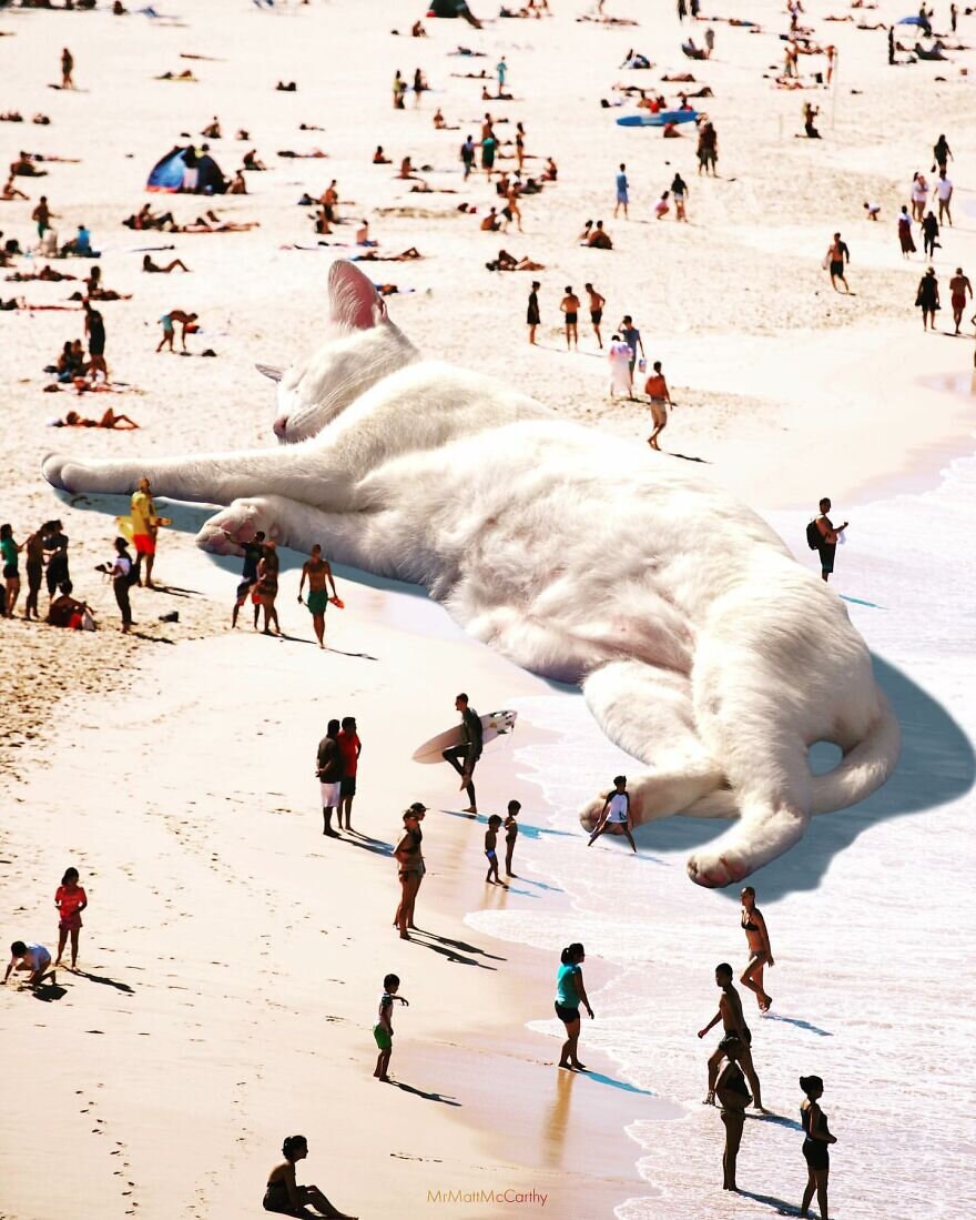 Источник: www.instagram.com/mrmattmccarthy