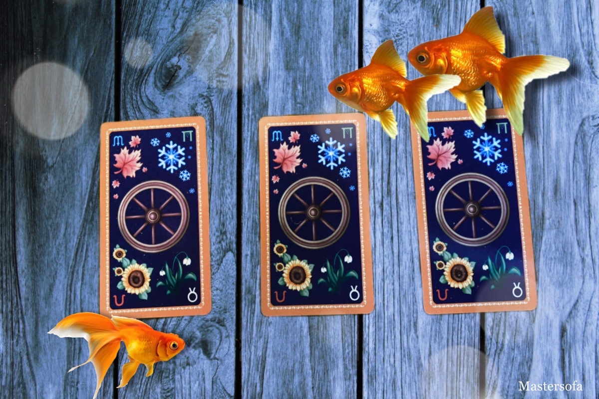 Выбираем карточку.......