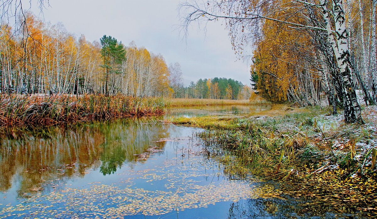 Фотография, стихотворение Василия Глуцкого