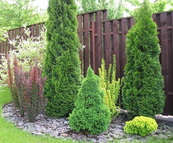 ТАКОЙ УЧАСТОК  - ЭТО ТО, К ЧЕМУ Я СТРЕМЛЮСЬ. К САЖАЛЕНИЮ, МНЕ ЕЩЕ ДАЛЕКО ДО ТАКОЙ КРАСОТЫ.