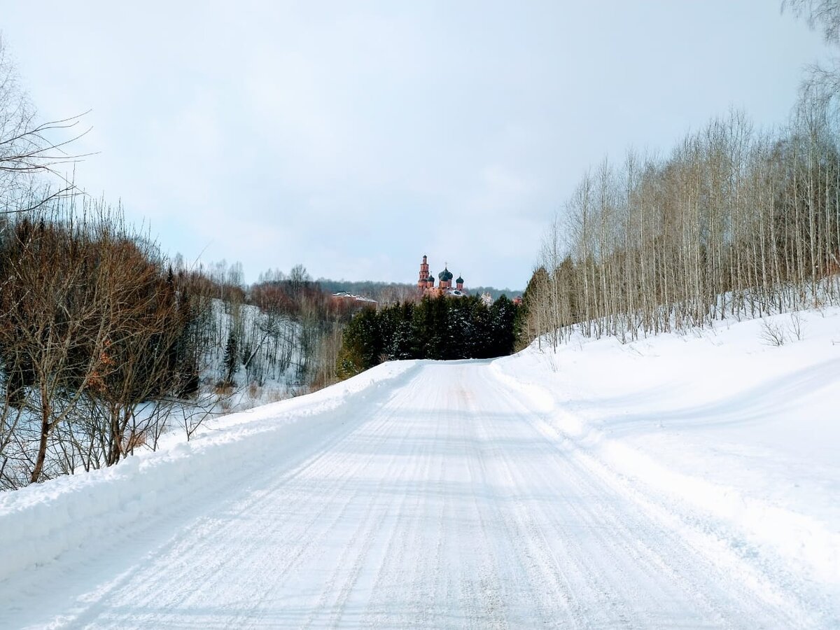 Фото авторов 