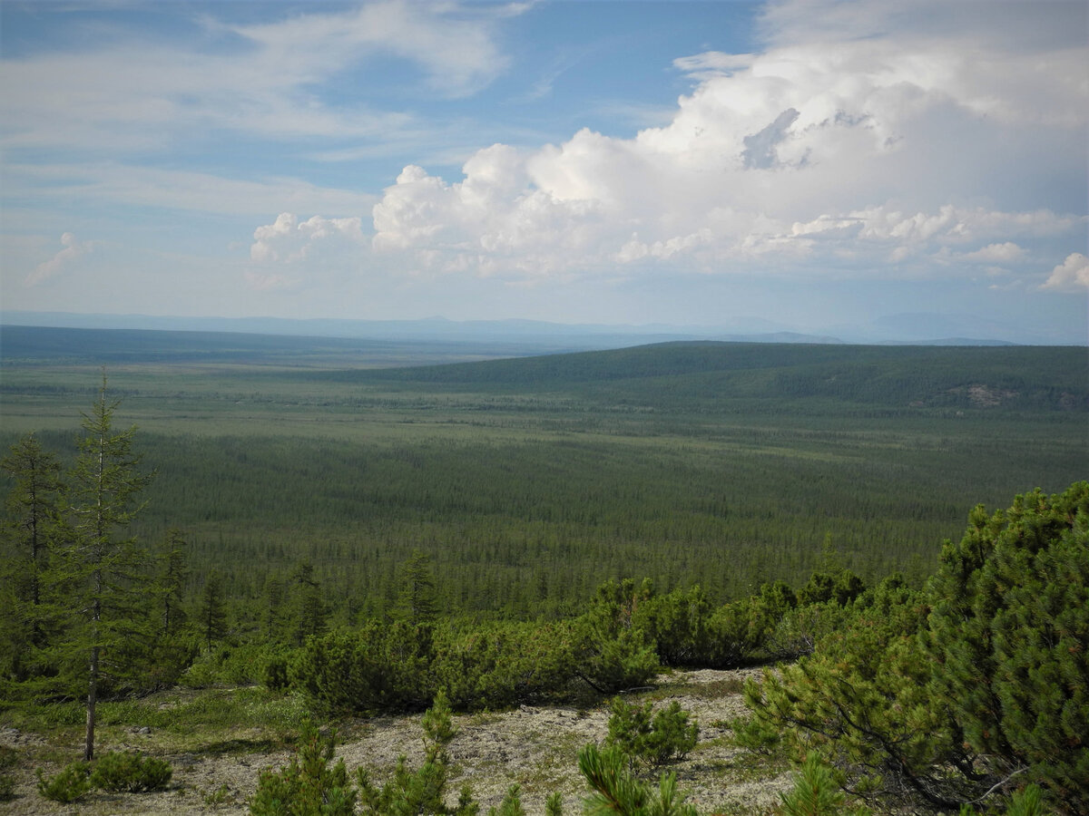 Сибирская тайга. Места обитания отшельников. Фото автора.