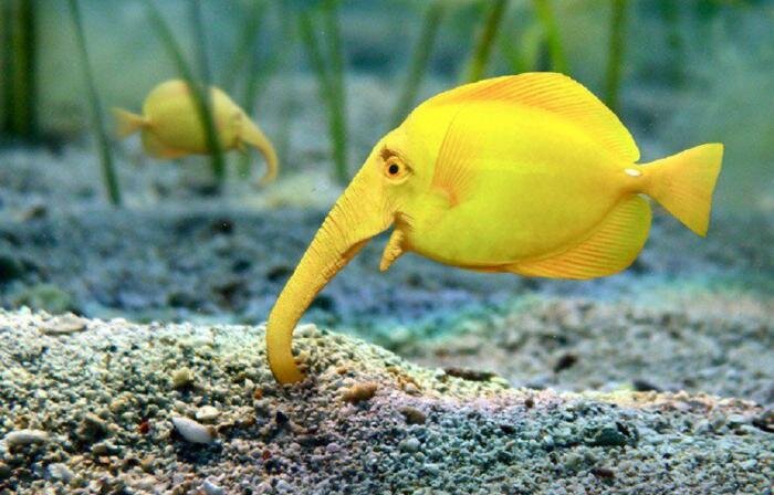 Это всё магия фотошопа