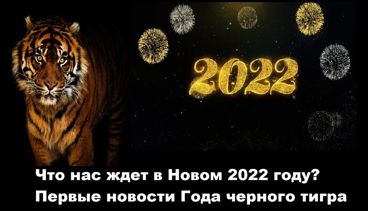 В России запрещают Ютуб, Инстаграм, Фейсбук… Вот и Новый 2022 год!