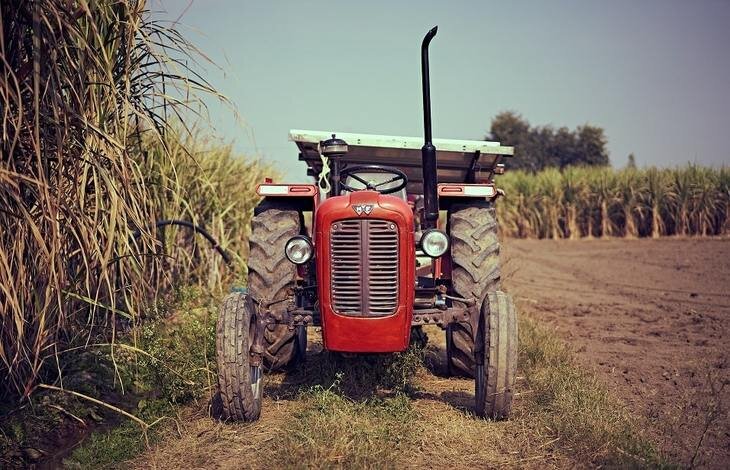    Кубинский сахар на пороге перемен и регенеративного земледелия