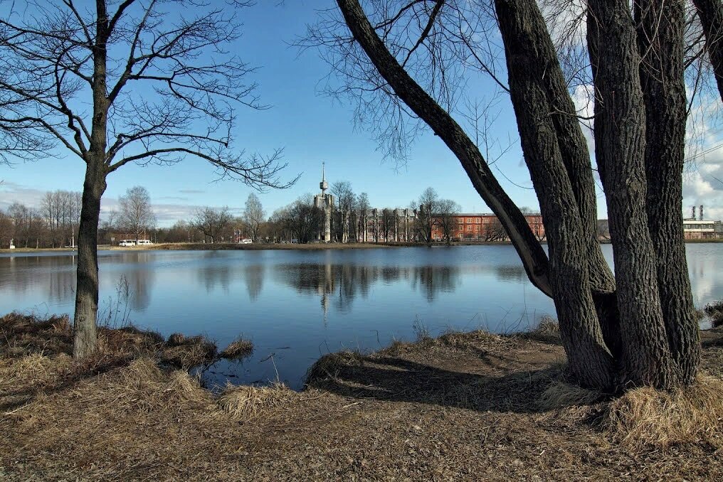 ТОТ САМЫЙ ПРУД Источник фото photogoroda.com