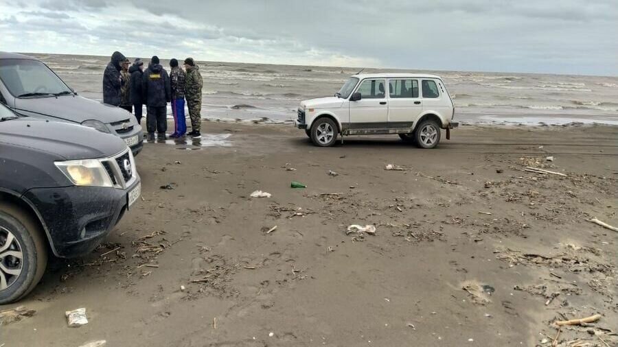     Около 700 мертвых тюленей нашли на берегу Каспийского моря близ Махачкалы, сообщили в пресс-службе Росрыболовства.