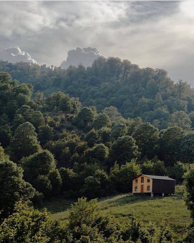 Добавьте описание