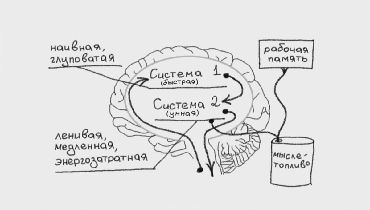 Как победить обезьяну | Переехала во Францию | Дзен