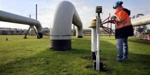    Фото: cbs.nl Ирина Амелина