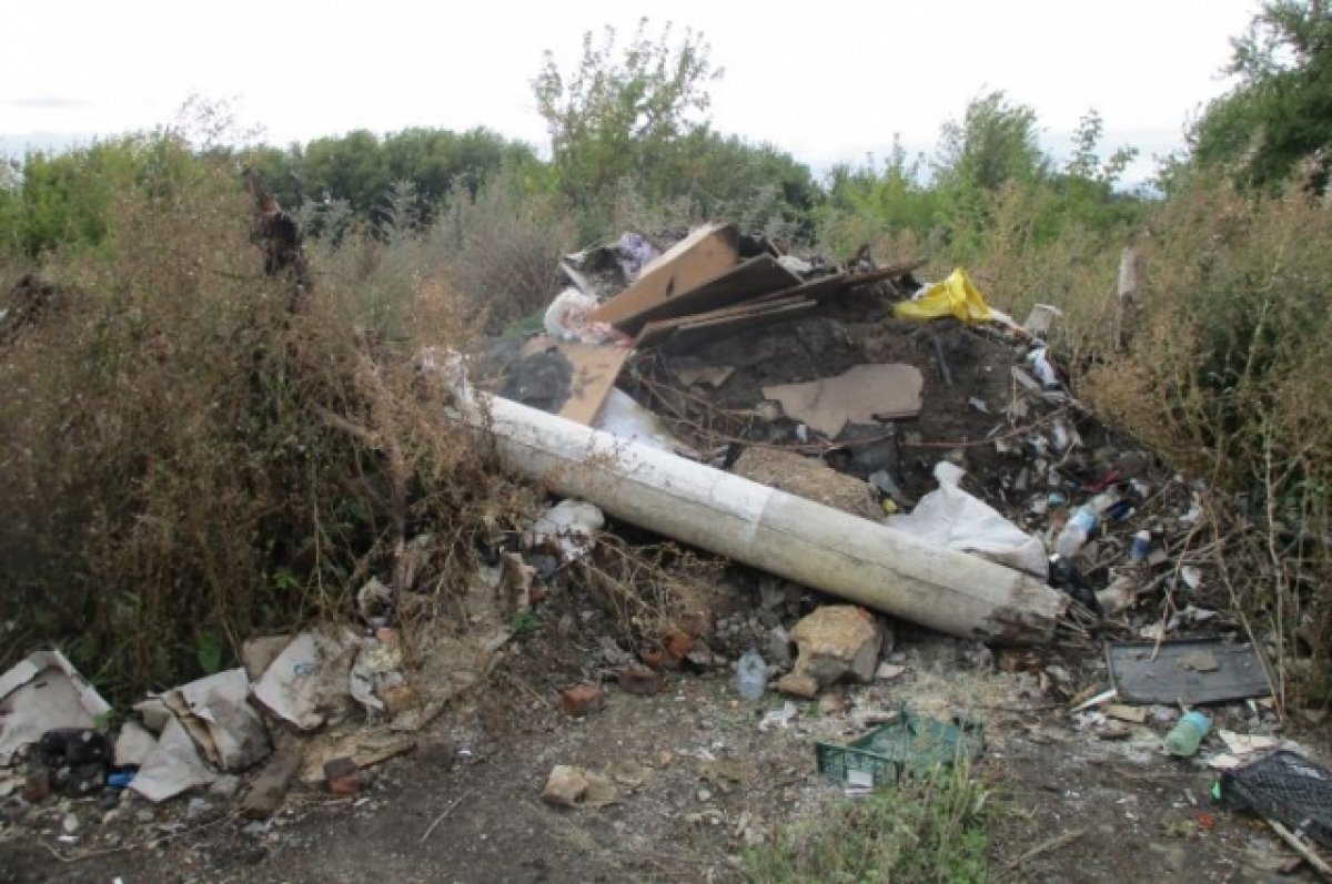    В Тульской области обнаружена токсичная несанкционированная свалка