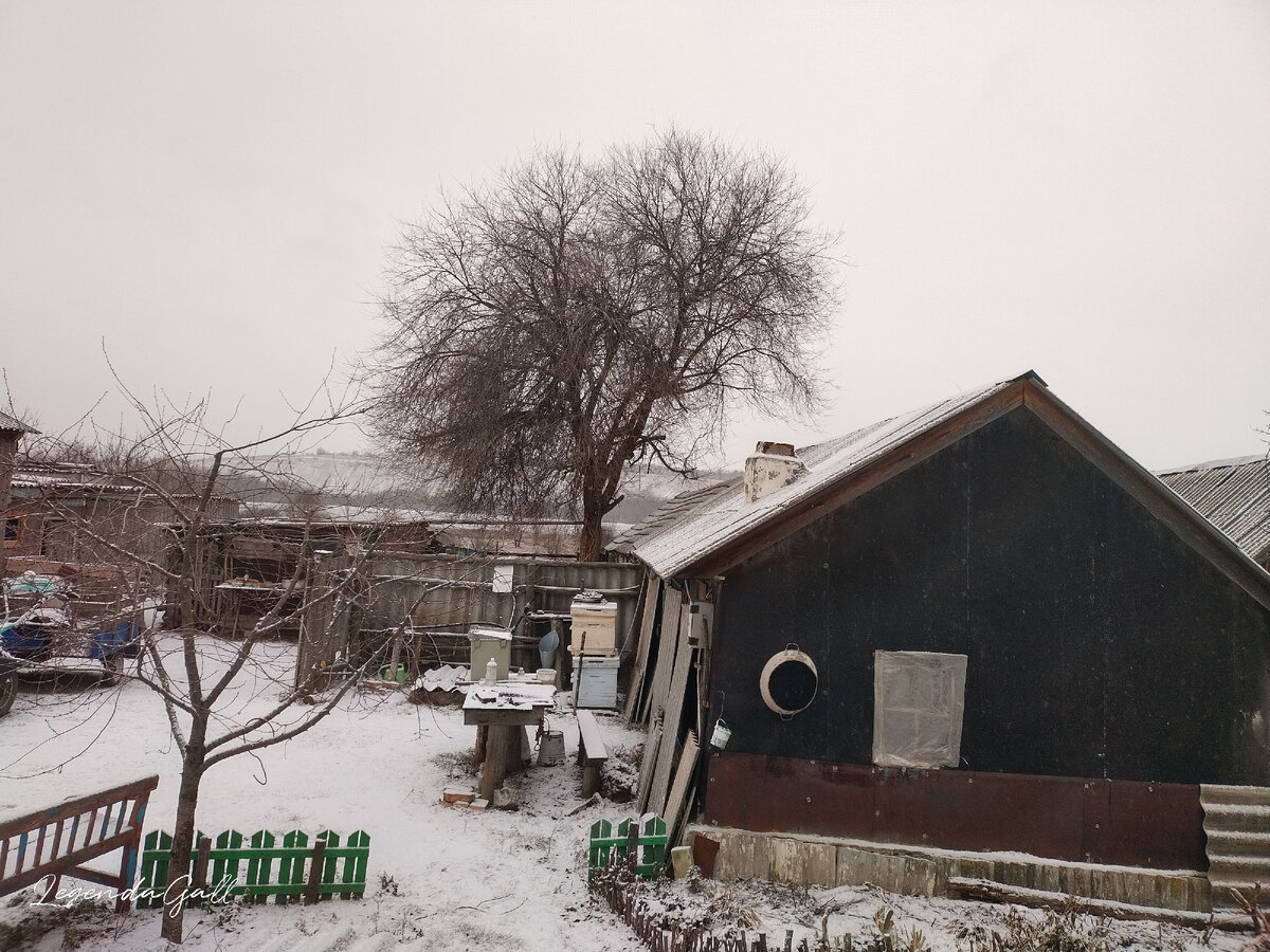 Вид из окна. Утром еще светло было