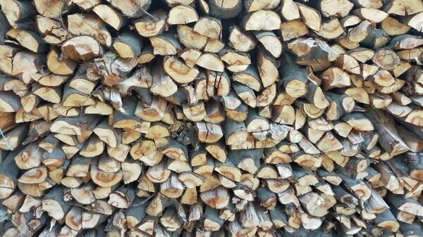   © Sputnik / Maxim Topal