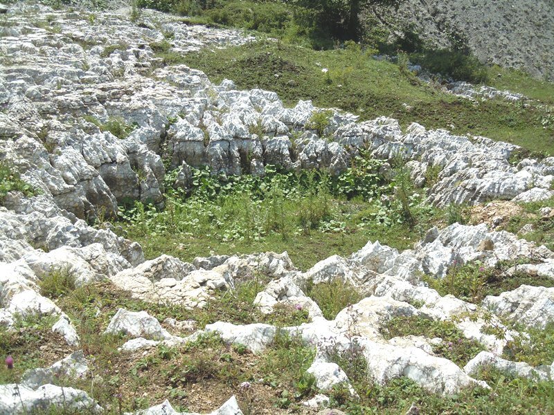 Тут меня спрашивают (ирония) почему не указаны другие конкретные разрушители?-30