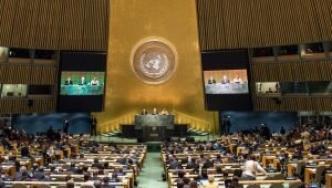    Фото: Cia Pak / United Nations Photo Ирина Амелина