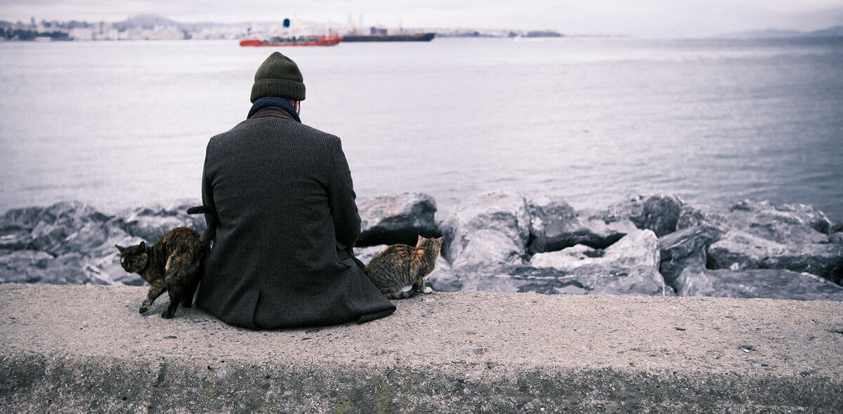 Фото: Kirill Morozov/Unsplash