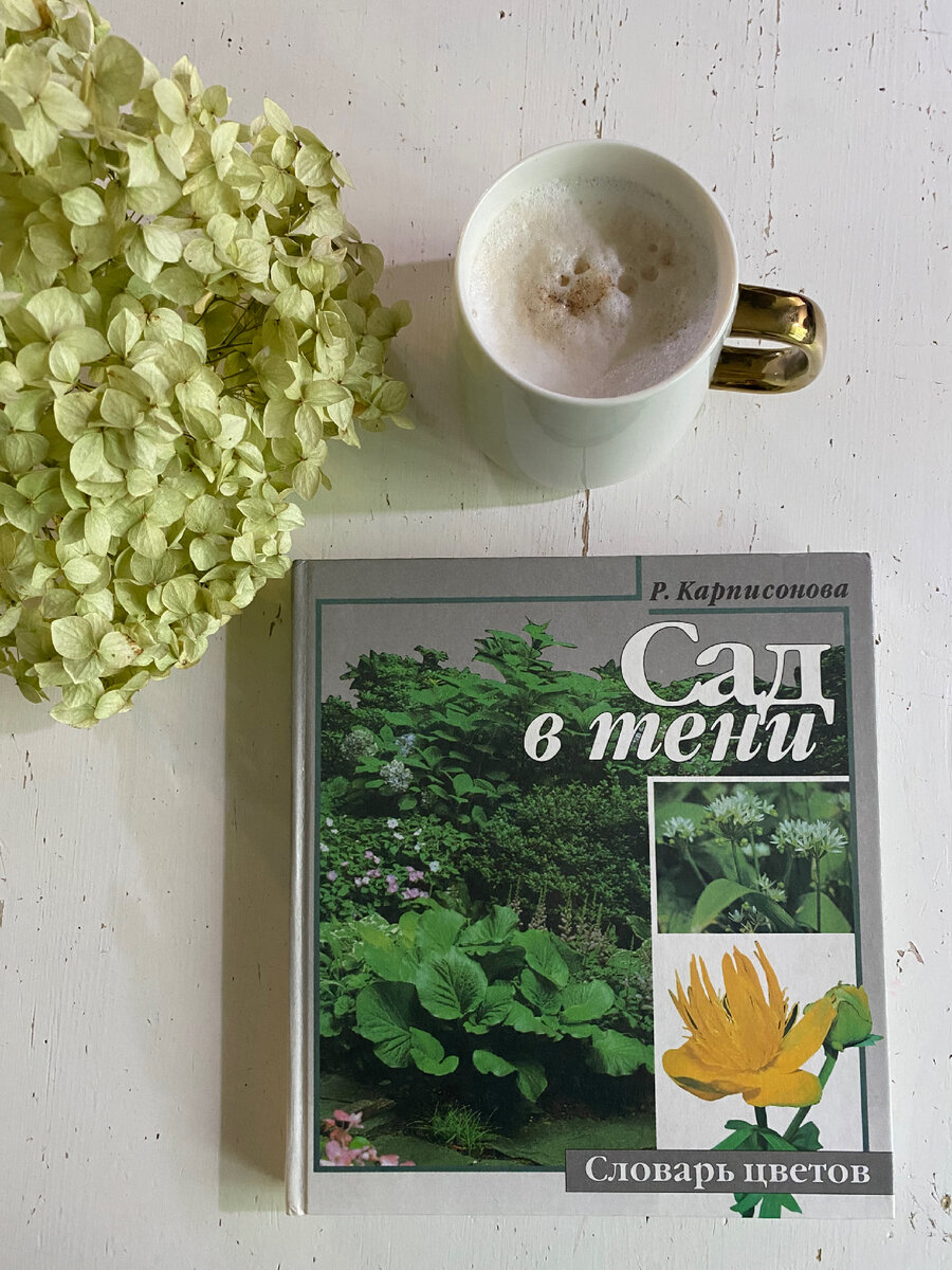 Настольная книга Р.Карписонова «Сад в тени»