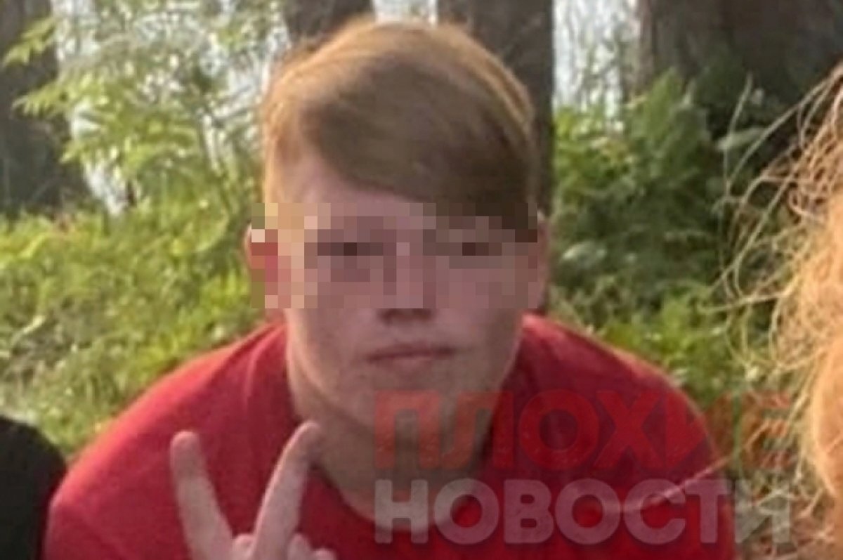    СМИ: Погибшим 16 января под поездом оказался 16-летний подросток из Бологое