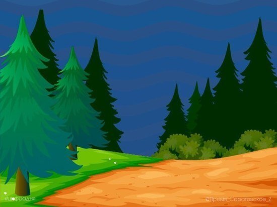     Масштабная высадка лесов начнется в середине весны. Фото: правительство Саратовской области