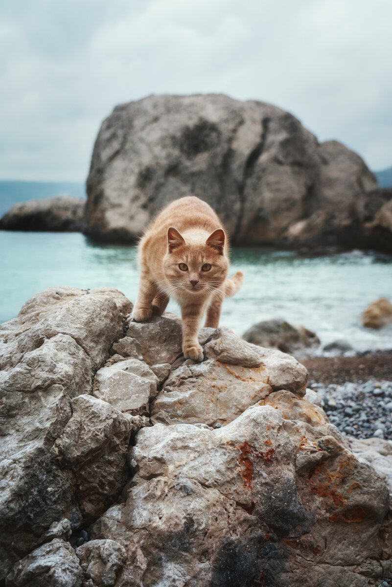 Photo by Svetlana Aprel on Unsplash