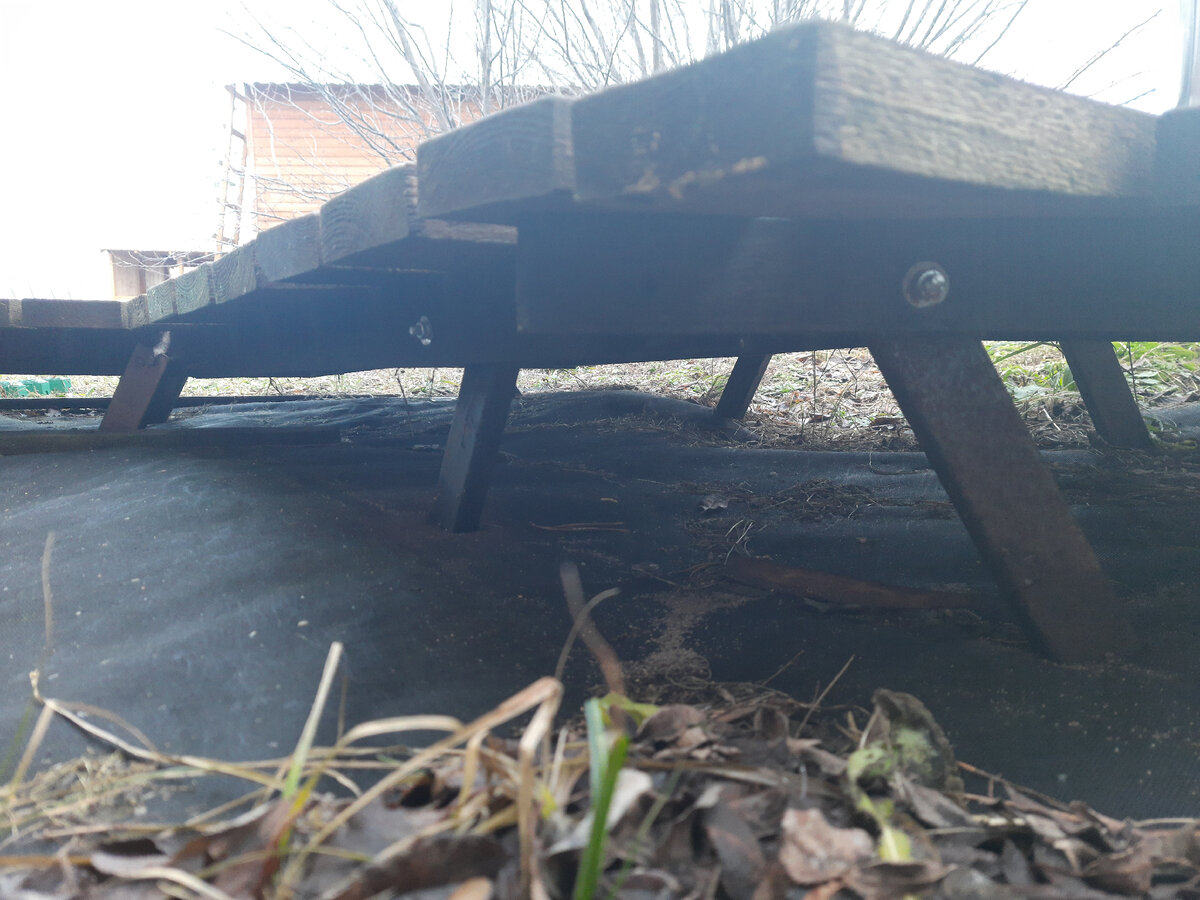 Декабрь 2022 г.