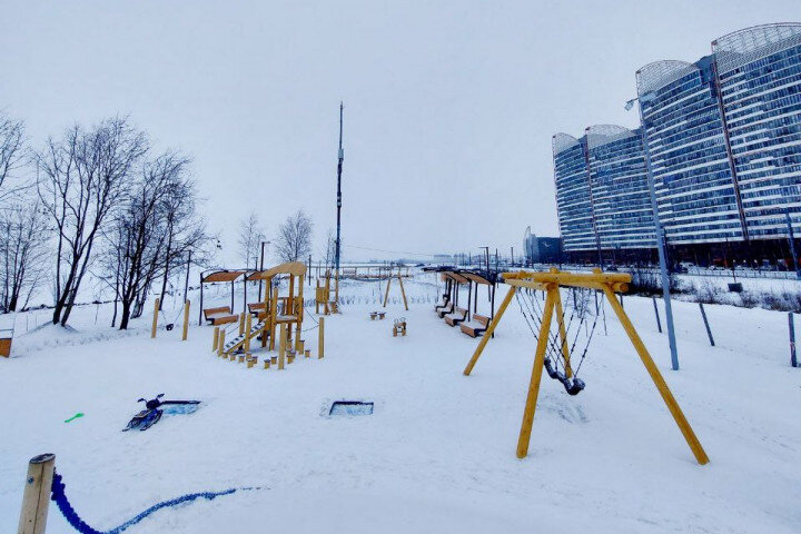    Анна Прохорова