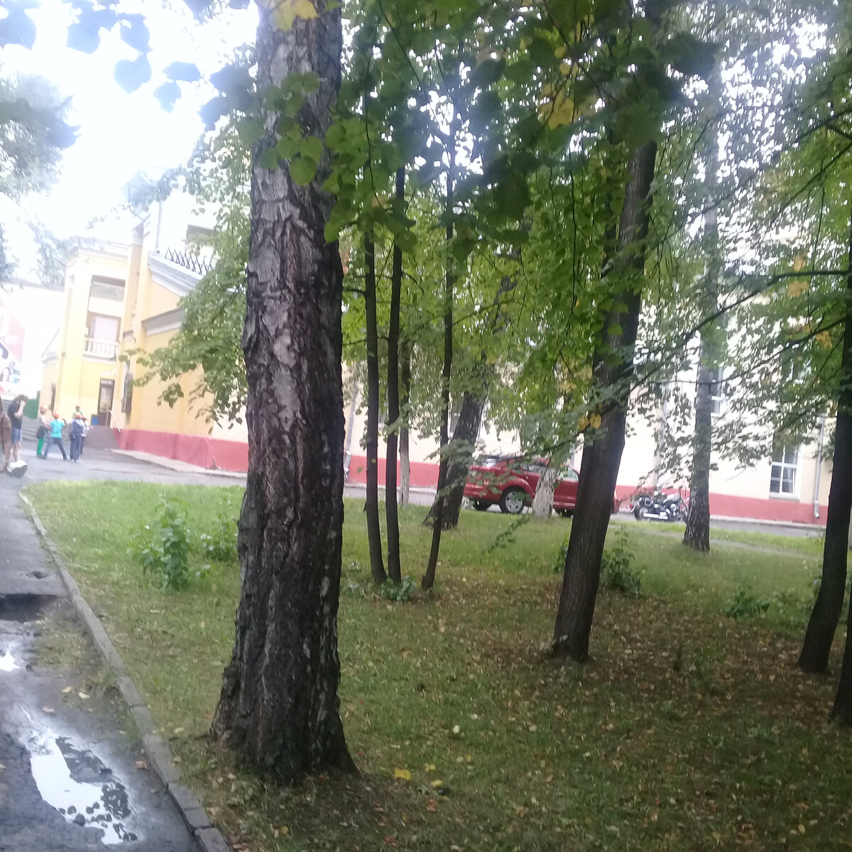 Деревья в парке