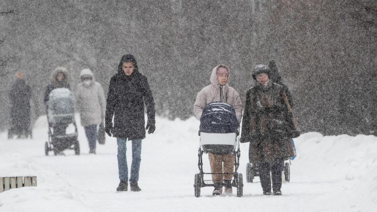    Люди идут по дороге во время снегопада:Stanislav Krasilnikov / Contributor / Getty Images