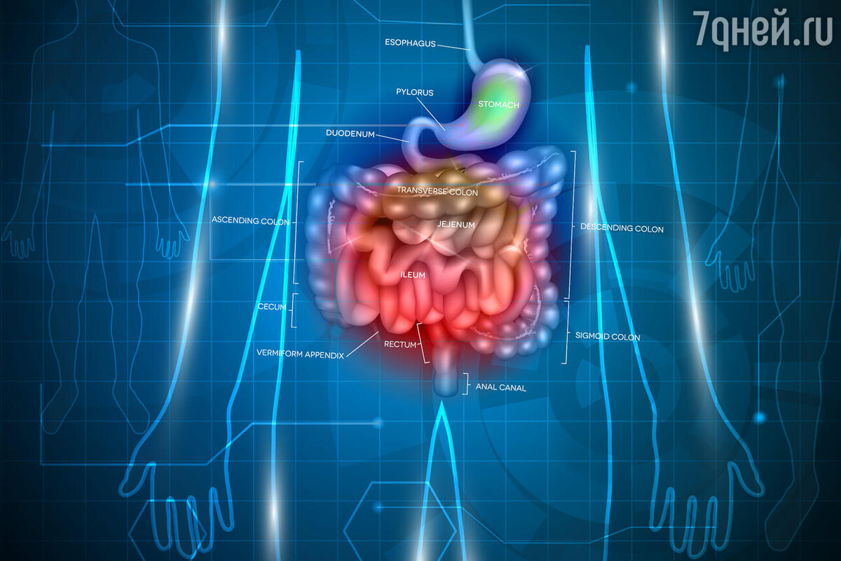 Как очистить кишечник | 7Дней.ru | Дзен