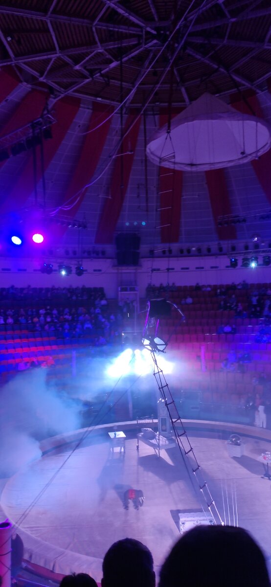 Ряды и арена, сидим высоко 