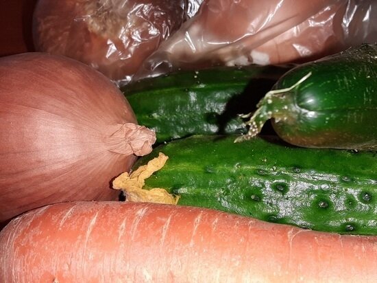     ФОТО: АНДРЕЙ КОВАЛЕВ / "МК В ТОМСКЕ"