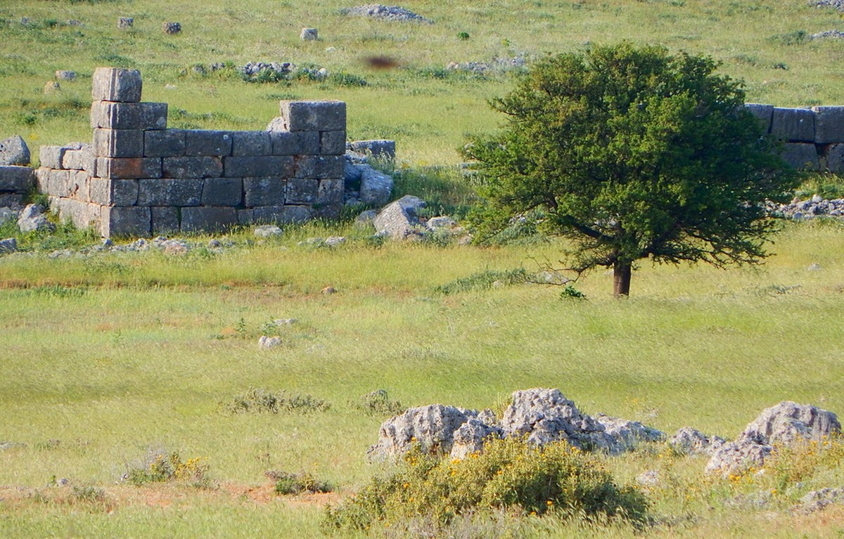 Древние Платеи. Фото из открытых источников Яндекс.Картинки