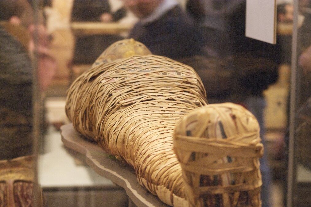 Найдены мумии со следами изменённых 	вен.  Египтяне рекомендовали не трогать расширенные змеевидные вены под кожей.