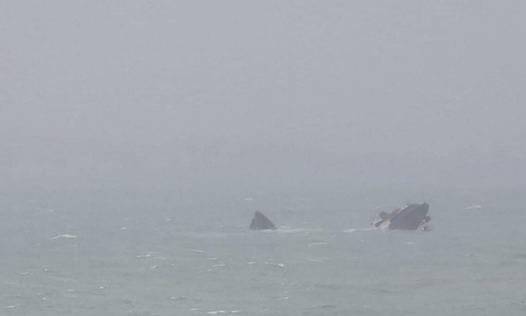    Фото: Скриншот видео Елена Стеценко